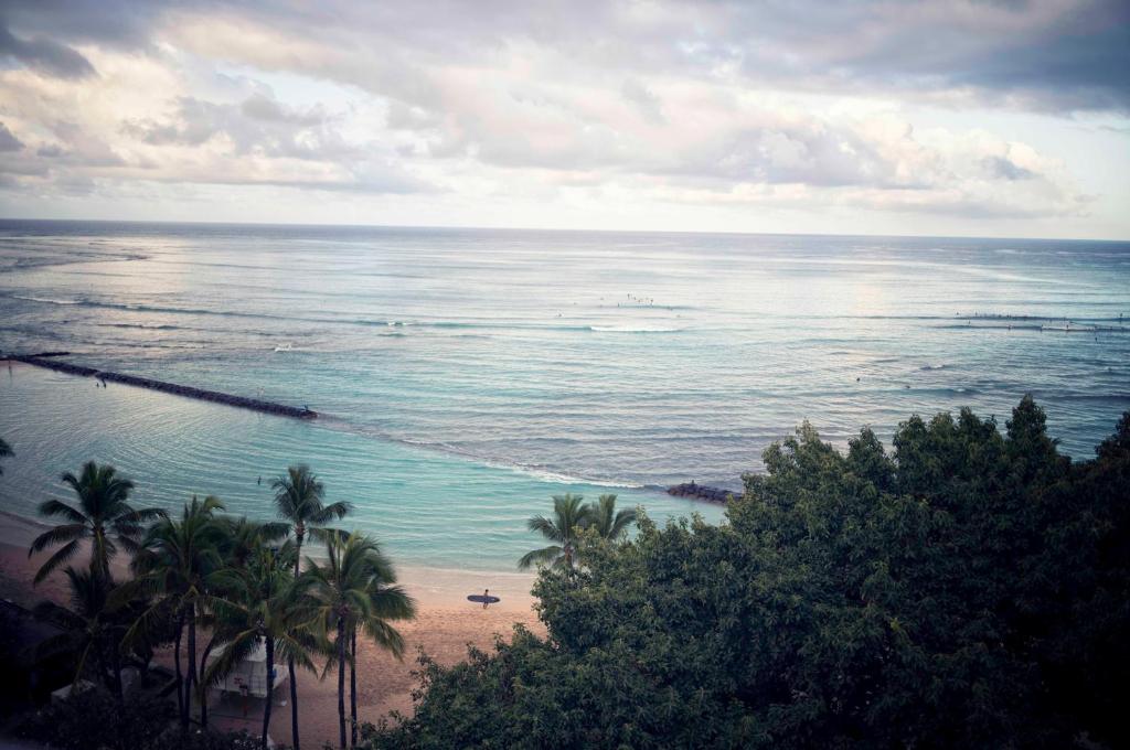 エスパシオ ザ ジュエル オブ ワイキキ ESPACIO THE JEWEL OF WAIKIKI 画像24