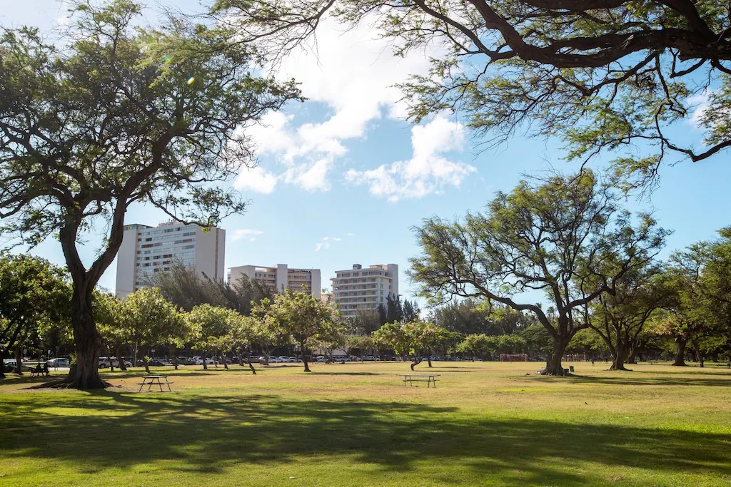 ロータス ホノルル ホテル アット ダイヤモンド ヘッド Lotus Honolulu Hotel at Diamond Head 画像13