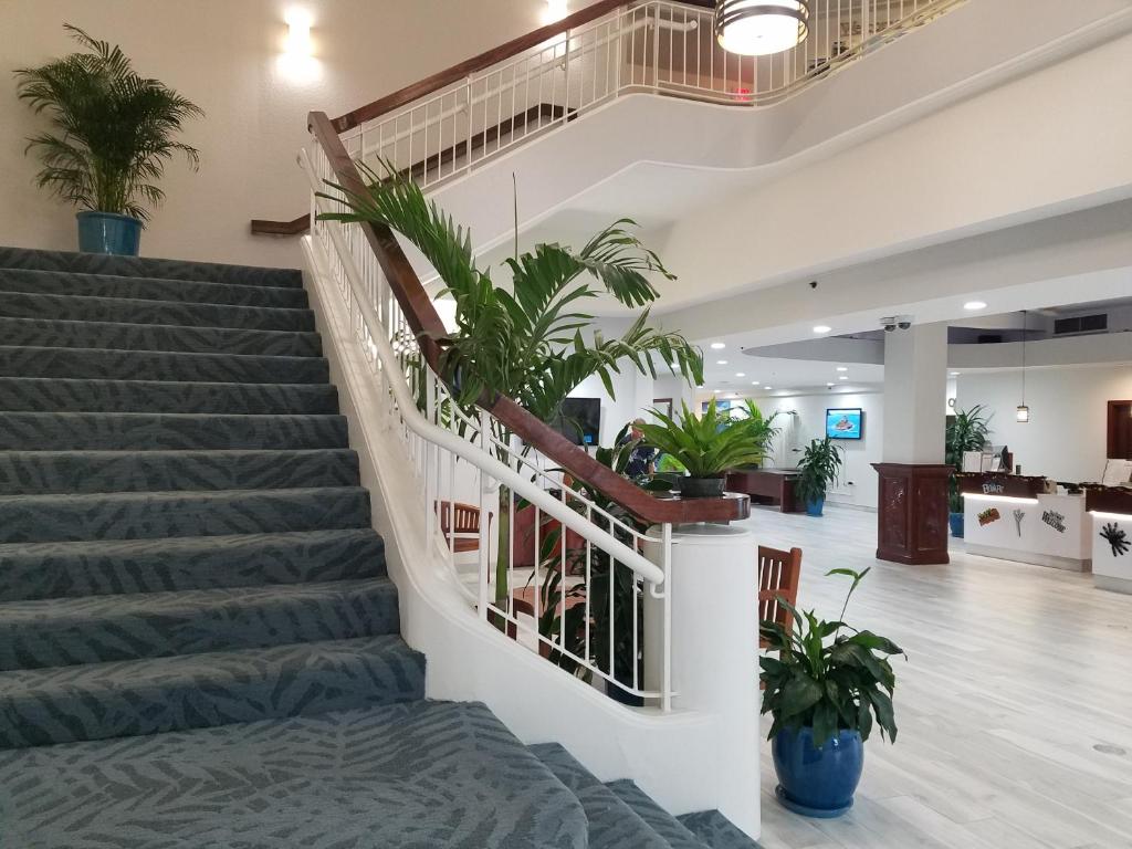 ザ インペリアル ハワイ リゾート アット ワイキキ The Imperial Hawaii Resort at Waikiki 画像12