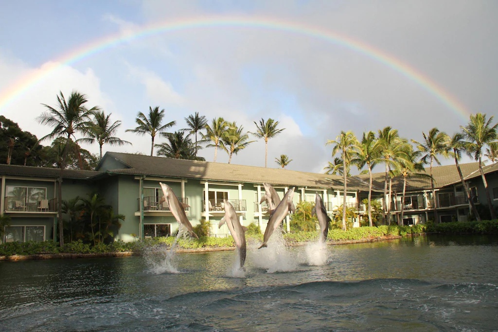 ザ・カハラ・ホテル ＆ リゾート The Kahala Hotel and Resort 画像25