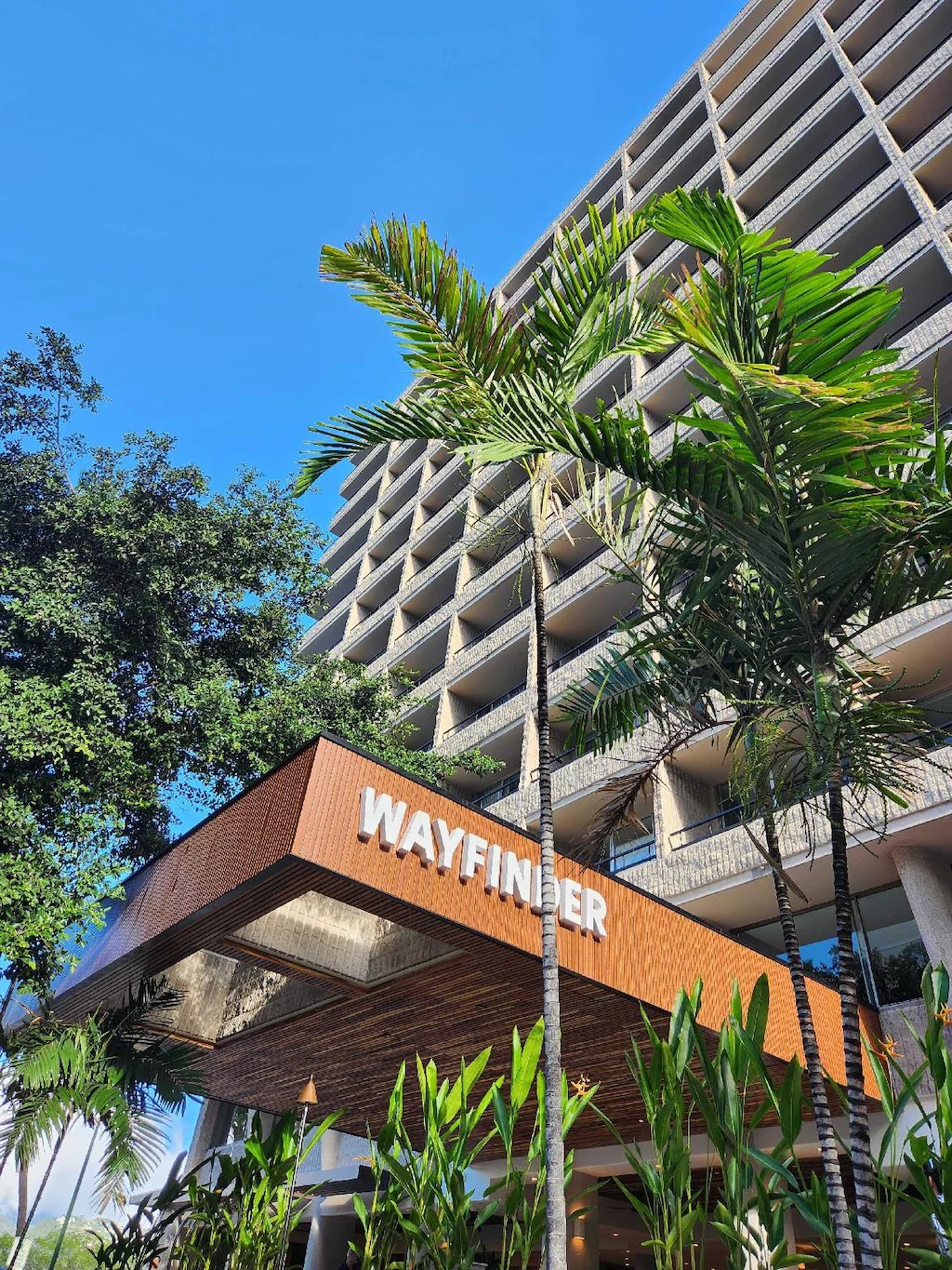ウェイファインダー ワイキキ Wayfinder Waikiki 画像3