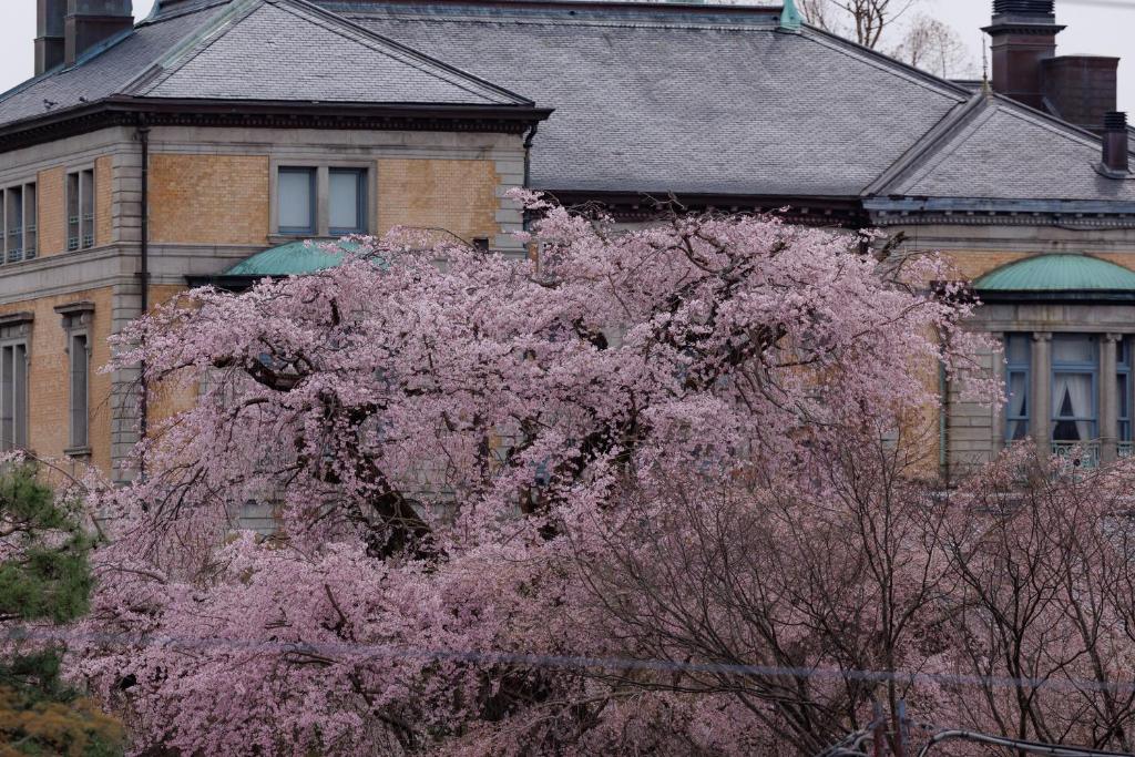 ホテル長楽館、SLHホテル Hotel Chourakukan, an SLH Hotel 画像9