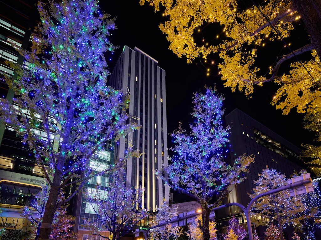 ホリデイ・インエクスプレス大阪シティセンター御堂筋 Holiday Inn Express Osaka City Centre Midosuji 画像14