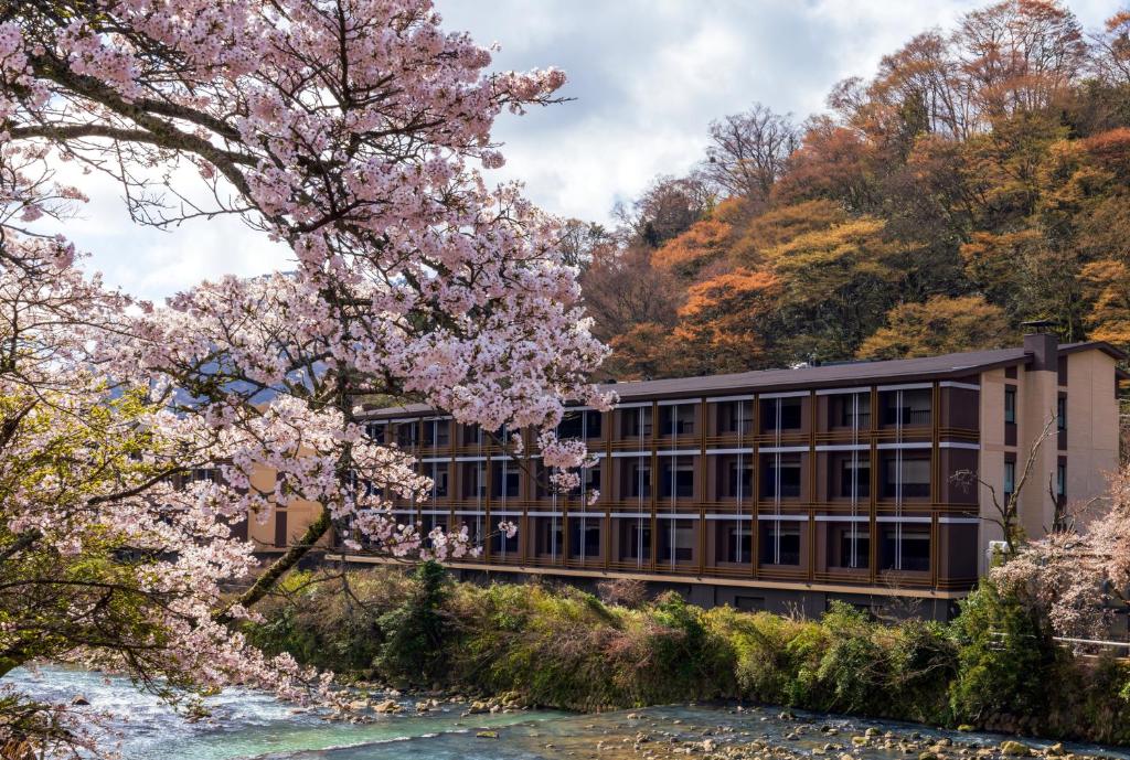 ホテルインディゴ箱根強羅 Hotel Indigo Hakone Gora 画像22