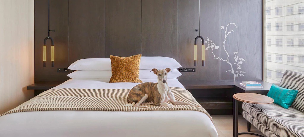 キンプトン新宿東京 Kimpton Shinjuku Tokyo 画像25