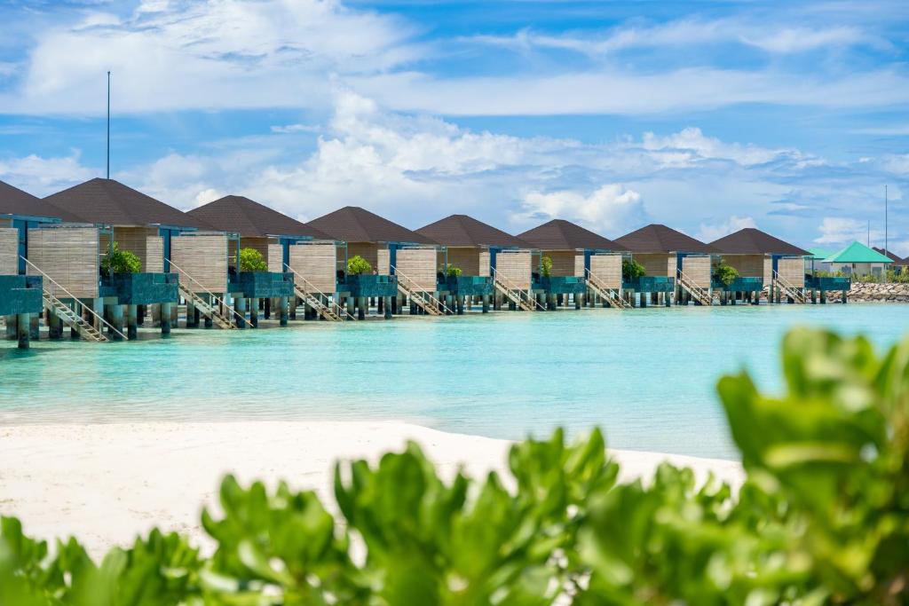 マディフシ プライベート アイランド Madifushi Private Island 画像7
