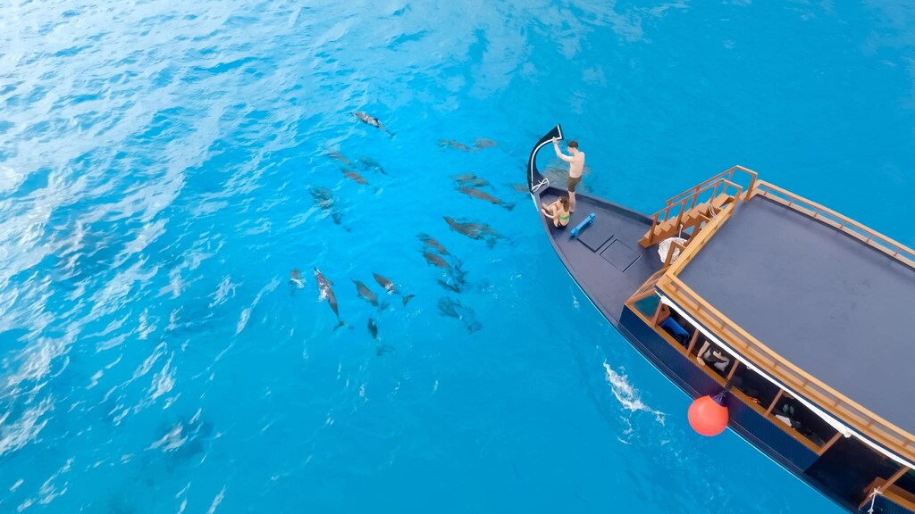 マディフシ プライベート アイランド Madifushi Private Island 画像17