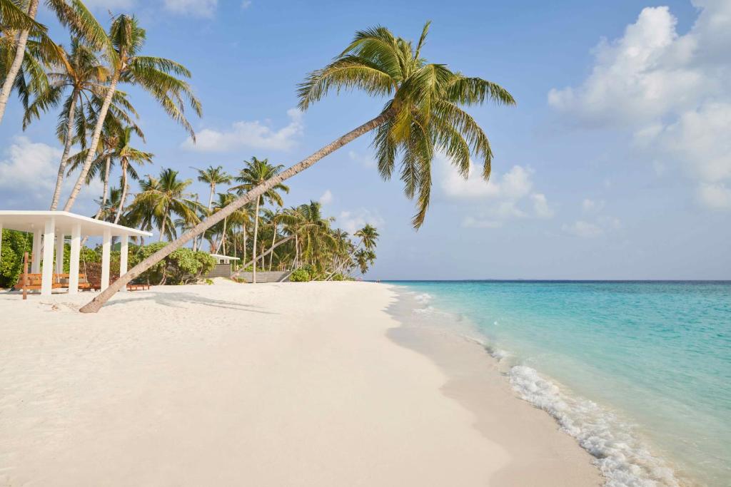 シヤム ワールド モルディブ Siyam World Maldives 画像18