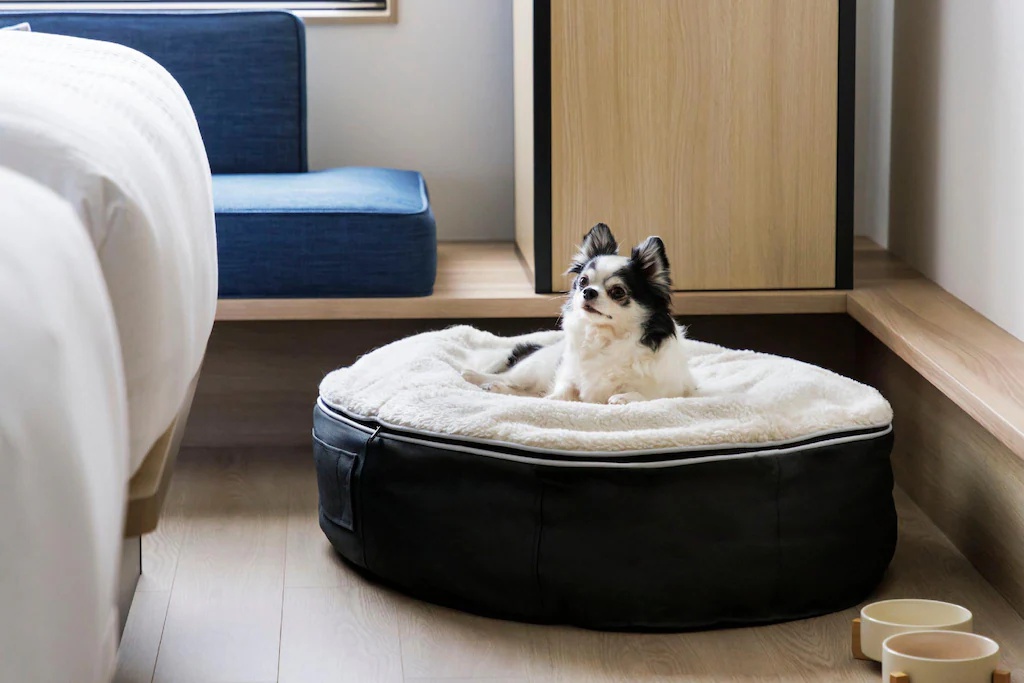 フェアフィールド・バイ・マリオット・広島世羅 Fairfield by Marriott Hiroshima Sera 画像16