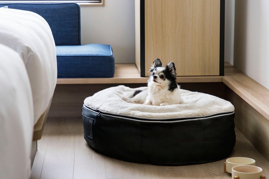 フェアフィールド・バイ・マリオット・岡山蒜山高原 Fairfield by Marriott Okayama Hiruzen Highland 画像16