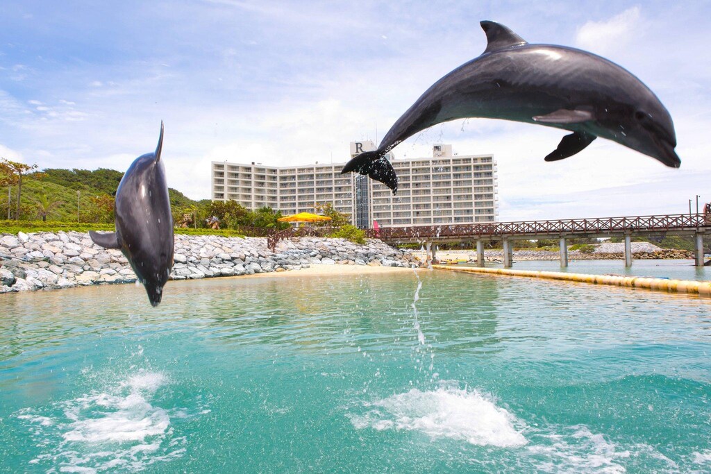 ルネッサンス・オキナワ・リゾート Renaissance Okinawa Resort 画像26