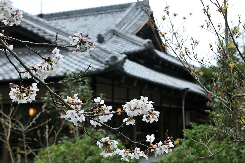 紫翠 ラグジュアリーコレクションホテル 奈良 Shisui, a Luxury Collection Hotel, Nara 画像18