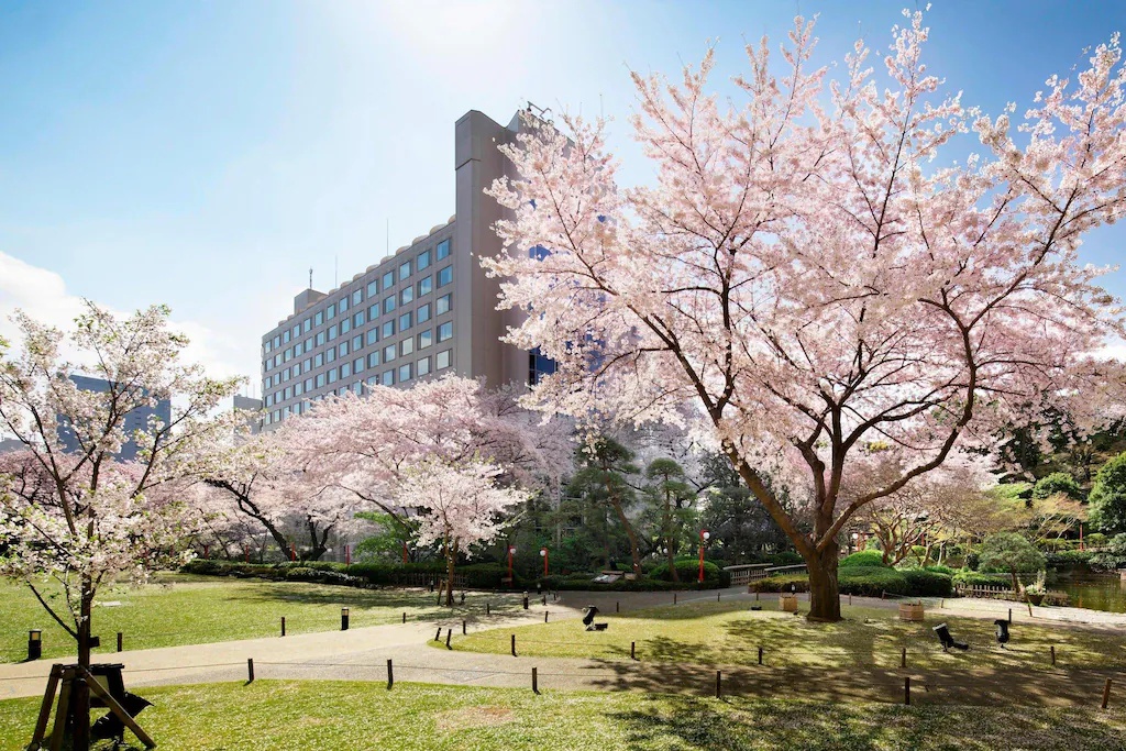 ザ・プリンス さくらタワー東京 オートグラフ コレクション The Prince Sakura Tower Tokyo Autograph Collection 画像11