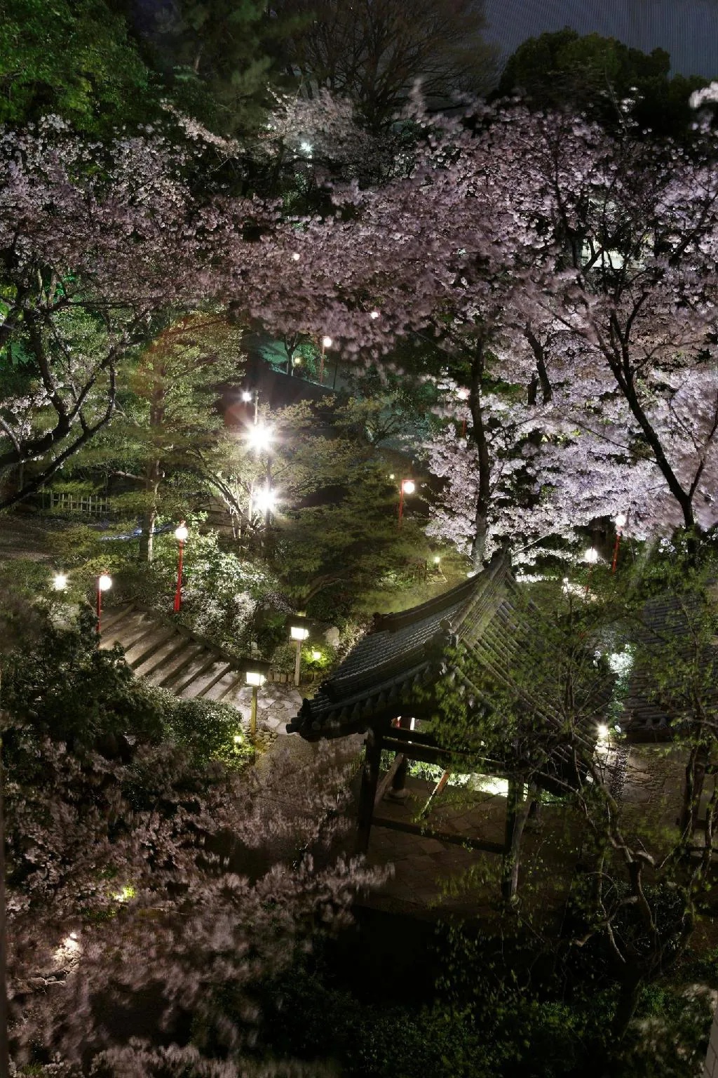 ザ・プリンス さくらタワー東京 オートグラフ コレクション The Prince Sakura Tower Tokyo Autograph Collection 画像25