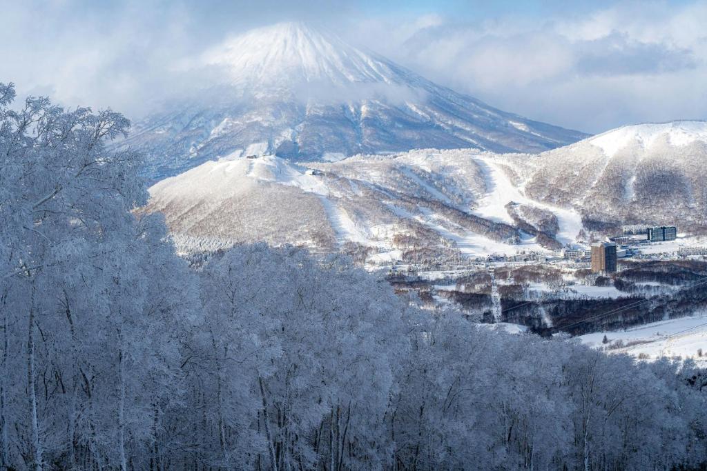 ウェスティン・ルスツ・リゾート The Westin Rusutsu Resort 画像20