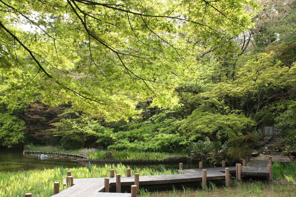 東京マリオットホテル Tokyo Marriott Hotel 画像22