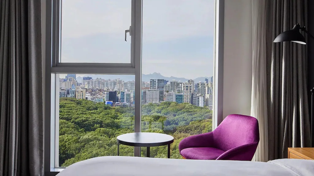 L7江南 by LOTTE L7 GANGNAM by LOTTE 画像25